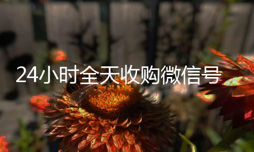 24小时全天收vx回收购微信号（私人回收联系方式）